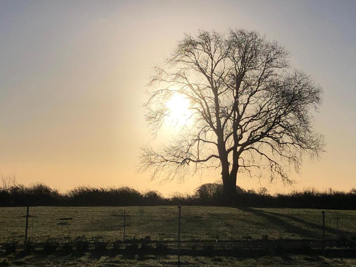 Knockreagh Farm Cottages, Callan, คิลเคนนี ภายนอก รูปภาพ
