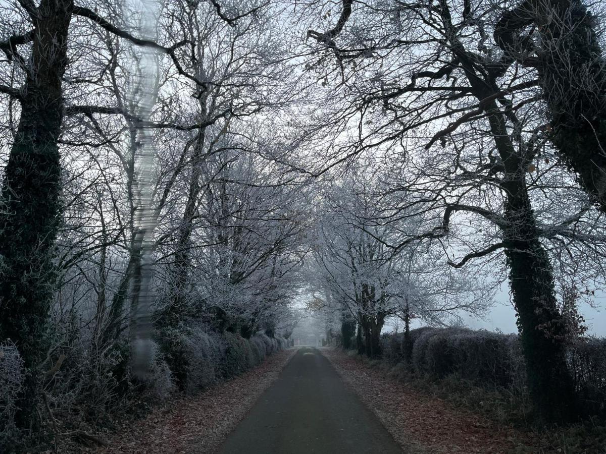Knockreagh Farm Cottages, Callan, คิลเคนนี ภายนอก รูปภาพ